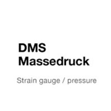 Immagine per la categoria Strain gauge / melt pressure