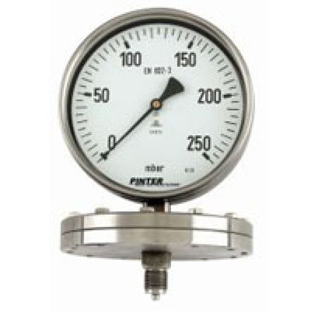 Immagine di Diaphragm Pressure Gauge Type P3