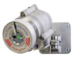 Immagine di Flame Detectors